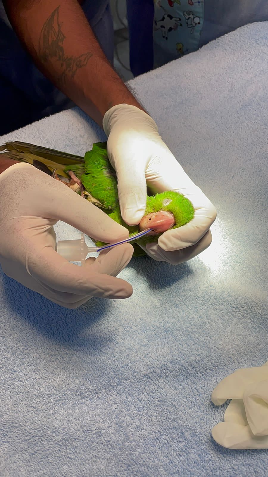 Imagem do WhatsApp de 2023-10-23 à(s) 11.31.16_8404fdb5