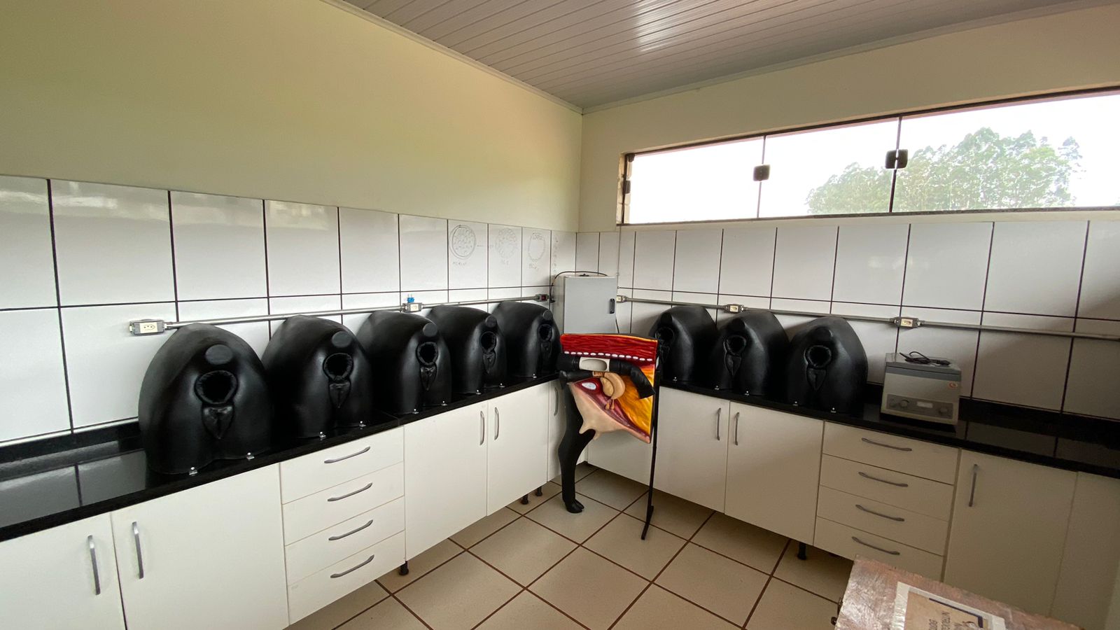 Imagem do WhatsApp de 2023-10-27 à(s) 13.20.05_60dca89a