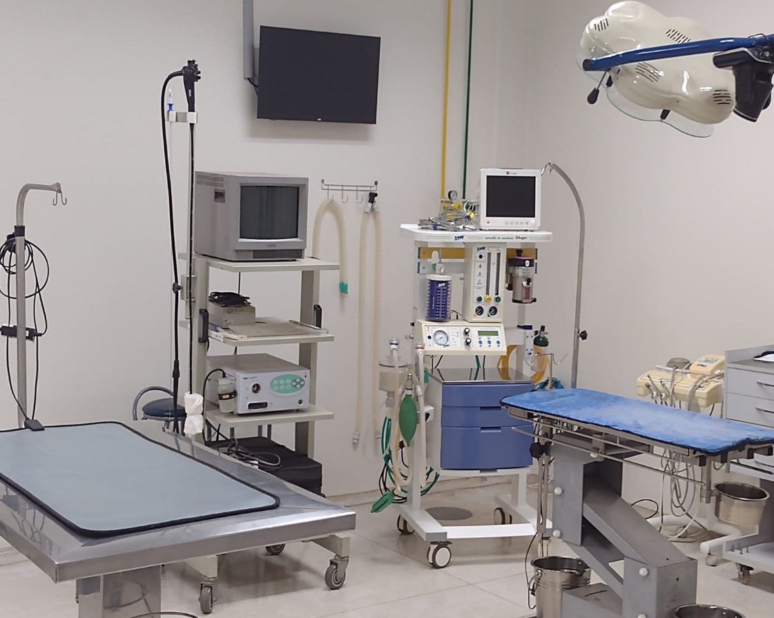 foto pequenos animais